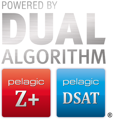 Dual Algorithm